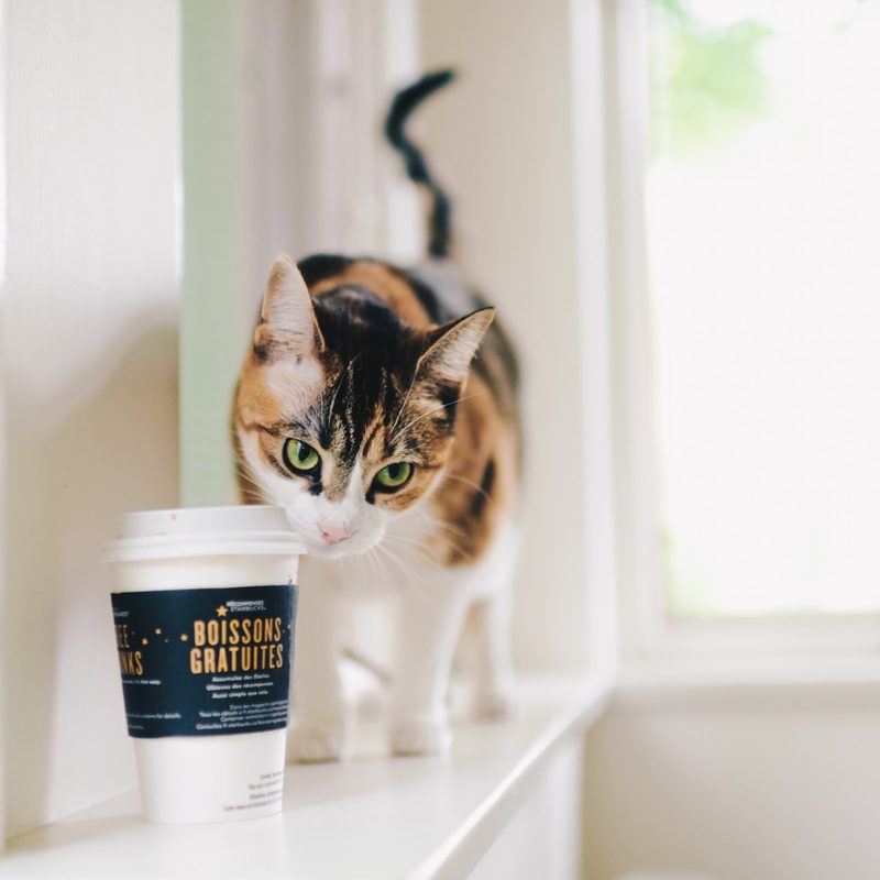 French words on a coffee