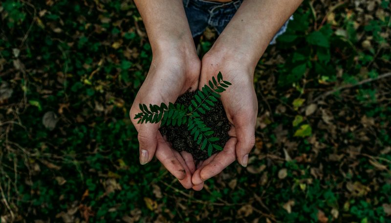Eco-Friendly Living Made Easy with AI