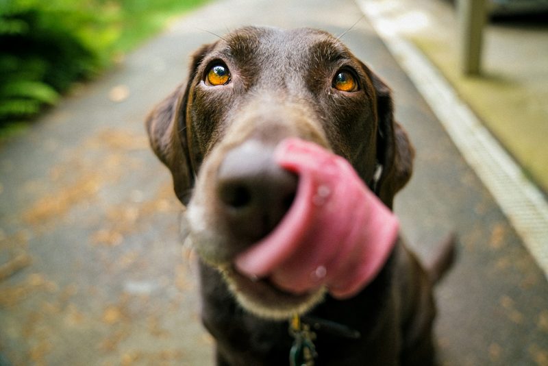 How to Improve your Pronunciation with English Tongue Twisters