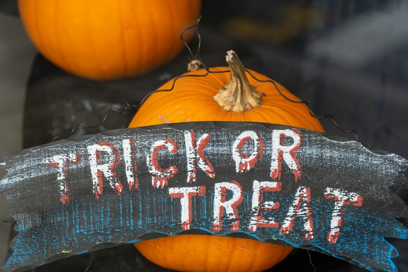 67 Creative Halloween Phrases (And 29 Spooky Quotes) To Get You In The Halloween Spirit