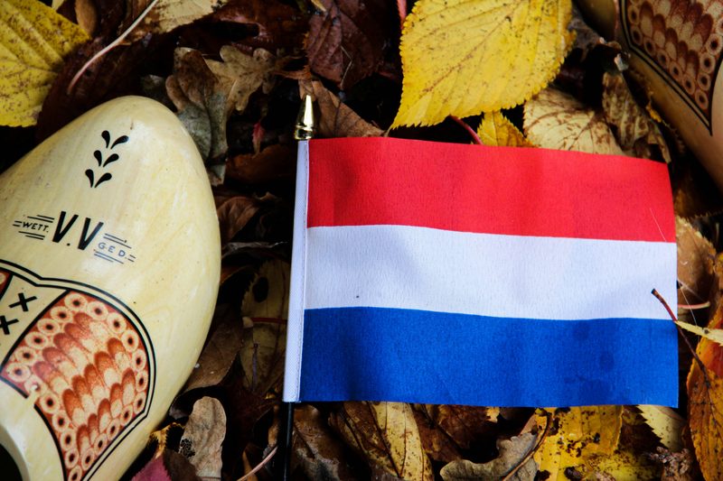 How Long Does It Take To Learn Dutch?