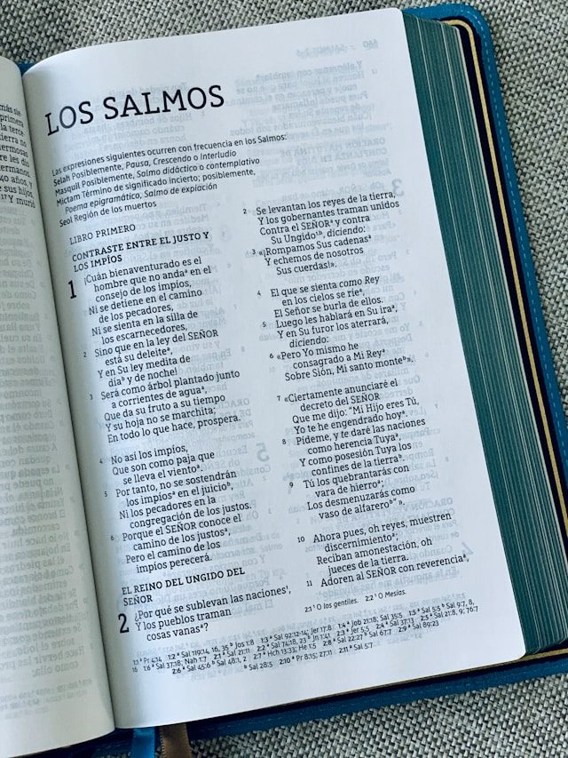 How Many Spanish Words Are There?