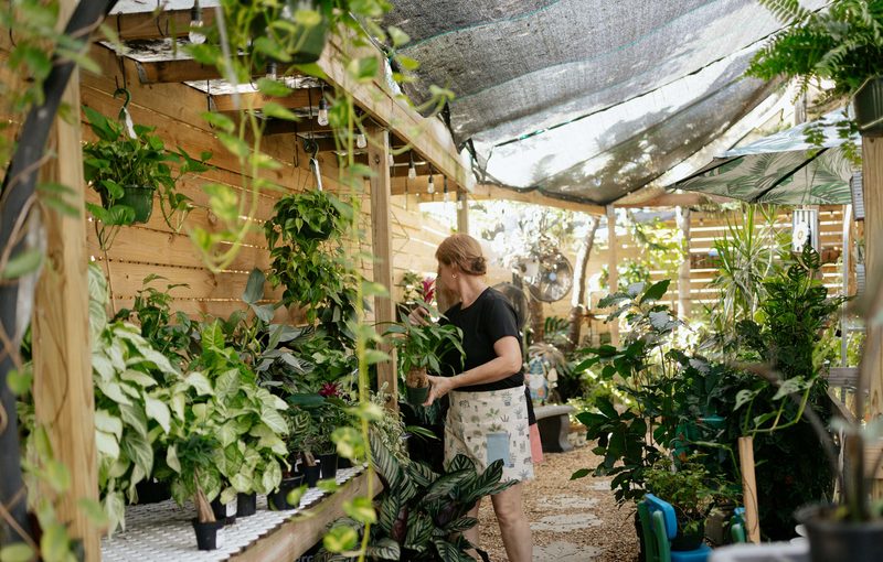 Leverage AI for Healthier, Happier Plants