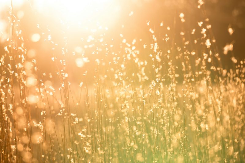 How to Talk About Seasons in Spanish?