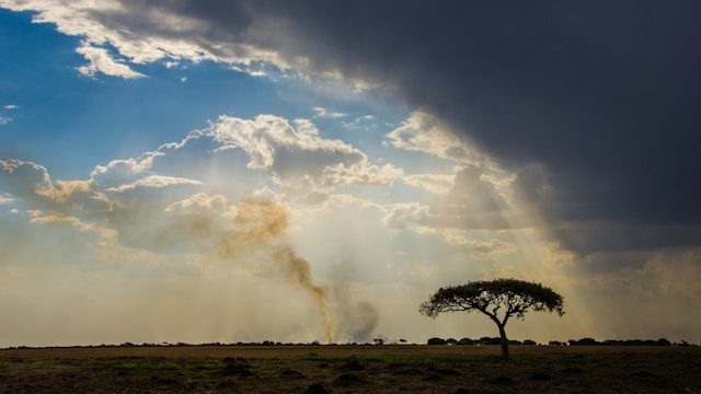 ZAMBIAN LANGUAGE